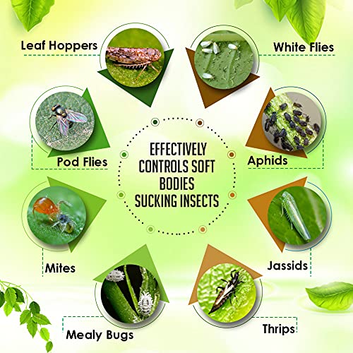 OrganicDews Verticillium lecanii (1x10^8 CFU/g) (250 g) for Plants - Against Sucking Insects Like Aphids, Thrips and Whiteflies 250 g