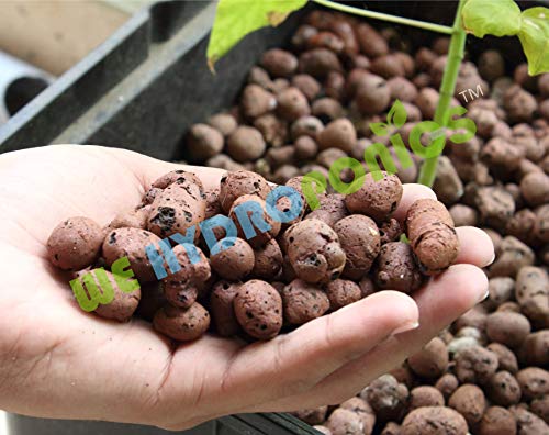 WE Hydroponics Clay Balls LECA/Hydrotons/Clay Rock - 4 Liter Bag (appx 1 kg) for Soilless Farming, Floating Pebbles