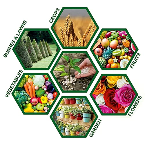 Casa De Amor Zinco Super: Nurture Your Plants, Nourish Your Soul