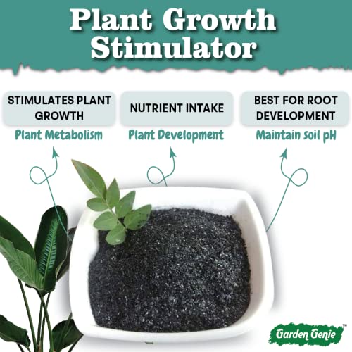 Garden Genie Humic Acid for Plants (Potassium Humate Flakes 98%) | Plant Growth Enhancer, Soil Conditioner, Improves Plant Root System, 900 gm