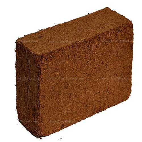 TrustBasket Cocopeat 5 kg ब्लॉक | पावडर 75 लीटर पर्यंत विस्तारते | हायड्रोपोनिक प्लांट्स, किचन गार्डनिंग आणि टेरेस गार्डनिंग, इनडोअर प्लांट्स आणि आउटडोअर प्लांट्स