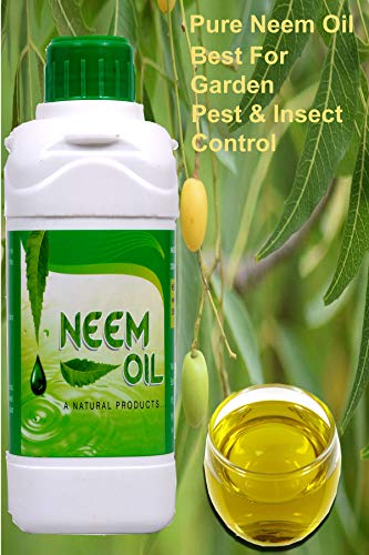 garden pest and insect control