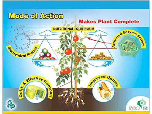 isagro Asia Siapton10l अमीनो एसिड और पेप्टाइड्स का मिश्रण कृषि या रोपण फसलों के लिए जैविक उर्वरक (500 मिली)