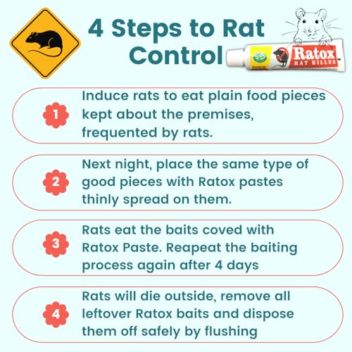 Ratox Rat Kill Paste | Ready to Use Rat Killer Gel for Home and Outdoors | 35GMx1 & 15GMx1 Combo Pack