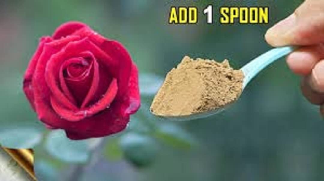 SDF India Bone Meal for Plants Home Gardening | Steamed Bone Meal | Rich in Phosphorus and Calcium | Natural Plant Fertilizer| (25kg)