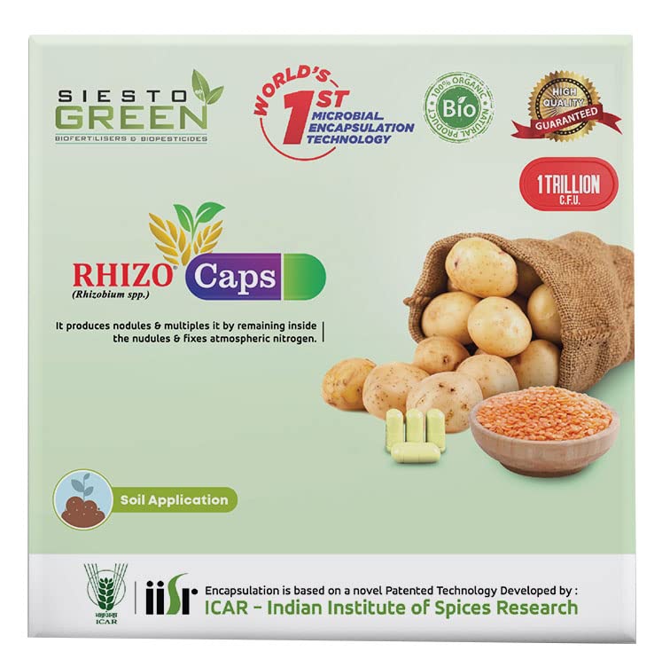 SIESTO GREEN Biofertilizer and Biopesticide Rhizo Caps (6 Capsules)