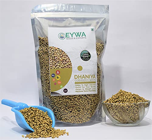 EYWA - इस सर्दी में घर की बागवानी के लिए धनिया के बीज, खेती और बुवाई के लिए पूरे धनिया के बीज, इस मौसम में आपके घर और किचन गार्डन में उगाने के लिए ऑर्गेनिक (1 Kg)