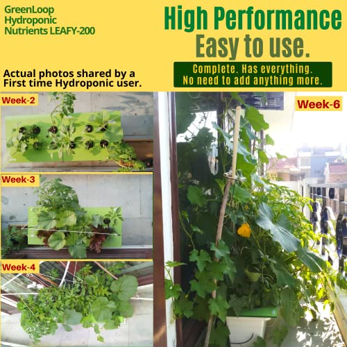 ग्रीनलूप हाइड्रोपोनिक पोषक तत्व- LEAFY200, हाइड्रोपोनिक पोषक तत्व, ठोस मिश्रण, 200 लीटर हाइड्रोपोनिक समाधान बनाता है, सभी पौधों और बेहतर पत्तेदार के लिए उपयुक्त, पूर्ण - इसमें सब कुछ शामिल है