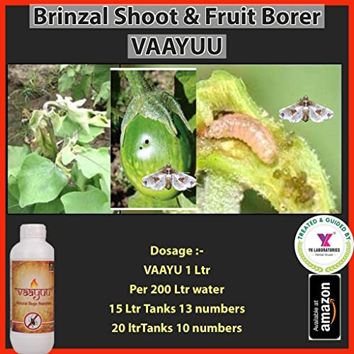 वाईके लैबोरेटरीज वायु प्राकृतिक बग्स रिपेलेंट/ऑर्गेनिक पेस्ट कंट्रोलर - 2.5L