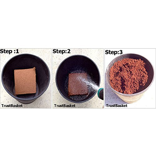 TrustBasket Cocopeat 5 kg ब्लॉक | पावडर 75 लीटर पर्यंत विस्तारते | हायड्रोपोनिक प्लांट्स, किचन गार्डनिंग आणि टेरेस गार्डनिंग, इनडोअर प्लांट्स आणि आउटडोअर प्लांट्स