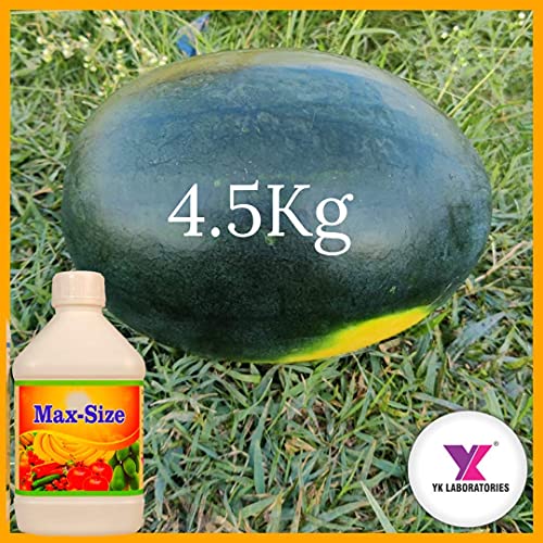 YK प्रयोगशालाएँ फलों और सब्जियों के आकार वृद्धि के लिए अधिकतम आकार प्रमाणित कार्बनिक उर्वरक - 1 लीटर, तरल