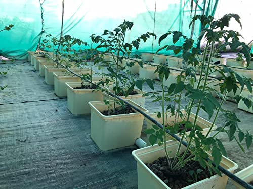 City Greens Dutch Bucket Hydroponic System Or Bato Bucket - for Vining Crops | Tomatoes | Cucumber | Pepper | Brinjal etc - Set of 5 (Colour Black).
