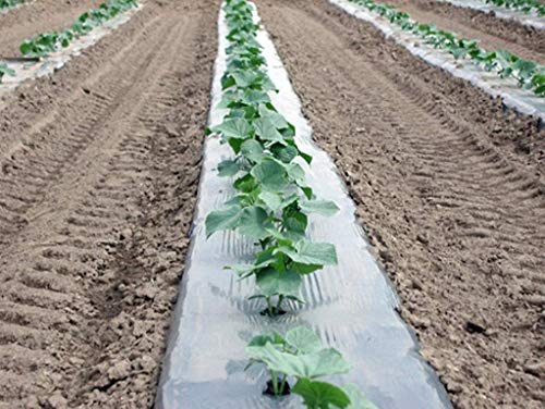 MIPATEX: Your Shield for Bumper Harvests