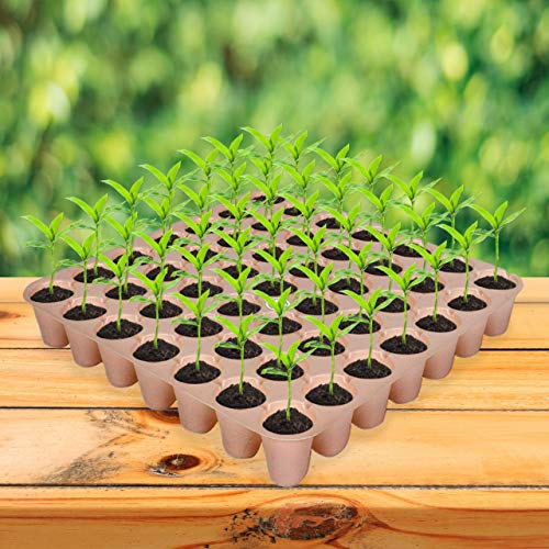 Kraft Seeds सीडलिंग प्रो ट्रे रंगीन आकर्षक और सुंदर 49 कैविटी (10 का पैक)