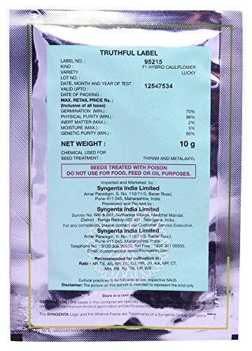 Syngenta Cauliflower Lucky Seeds (Green, 10 grams)