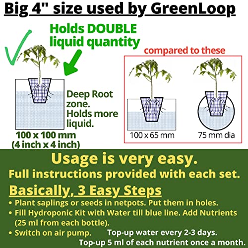 घर के लिए GREENLOOP हाइड्रोपोनिक किट, गहरी 4 इंच गहराई, 6 पौधों के लिए पूर्ण-एयर पंप-पोषक तत्व-बीज-ग्रो प्लग के साथ। 2 फुट लंबा