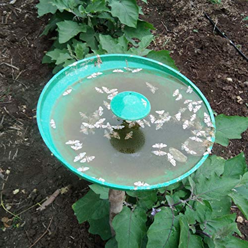 Chipku- Pheromone Water Trap with Lure Lucinodes orbonalis Pack of (10)