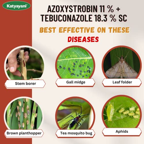 Katyayani Azoxystrobin 11% + Tebuconazole 18.3% SC Systemic Fungicide Powerful Broad Spectrum Control Early Blight Late Blight Yellow Rust Disease New Generation Fungus Control (1 Litre(Set of 4))