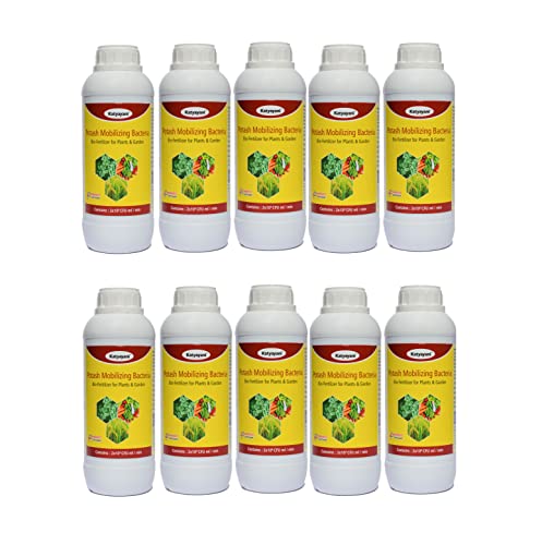 Katyayani Potassium Mobilizing Bacteria PMB Bio Fertilizer ( 5 x 10*8 CFU ml/min ) for all Plants and Home Garden Potassium Provider Eco Friendly Liquid fixing Bacteria Recommended by NPOP for Organic Farming (10 Litre)