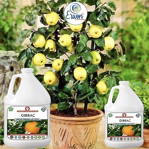 Erwon® Gibrac, Liquid Gibberellic acid Fertilizer for better growth of plants, fruits and vegetables. (500 ml)