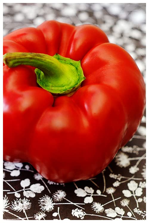 Radha Krishna Agriculture® Imported Capsicum Vegetable Seeds | Red Capsicum Seed For Your Home Garden Pack of 50 Gram Seeds