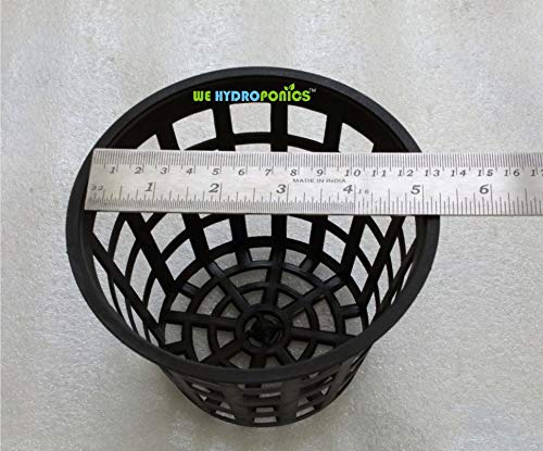 WE Hydroponics 5 inch netpot - Set of 10, Best Suited for Dutch Bucket, Kratky and Plant Nursery