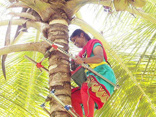 RTECH Advanced Coconut Tree Climber, Multi Tree Climbing Device XL-50, Coconut Tree South India, Goa, Tamil Nadu (15" - 51" Tree Circumference)