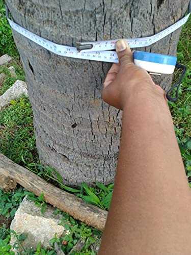 RTECH Advanced Coconut Tree Climber, Multi Tree Climbing Device XL-50, Coconut Tree South India, Goa, Tamil Nadu (15" - 51" Tree Circumference)