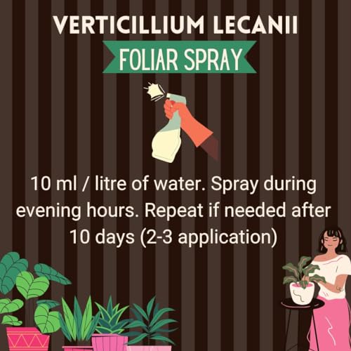 PLANT'S BUDDY - Verticillium Lecanii Liquid (2 * 10^9 CFU/ml) - Bio-Insecticide for All Indoor and Outdoor Plants - 500 ml