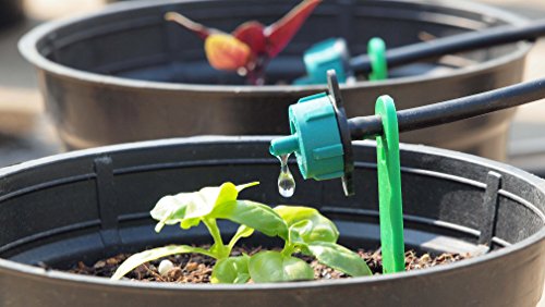 M DripKit Drip Irrigation Garden Watering 50 Plants Drip Kit (16mm Main Supply Line Pipe-25 Meters; 4mm Feeder Line Pipe-25 Meters)