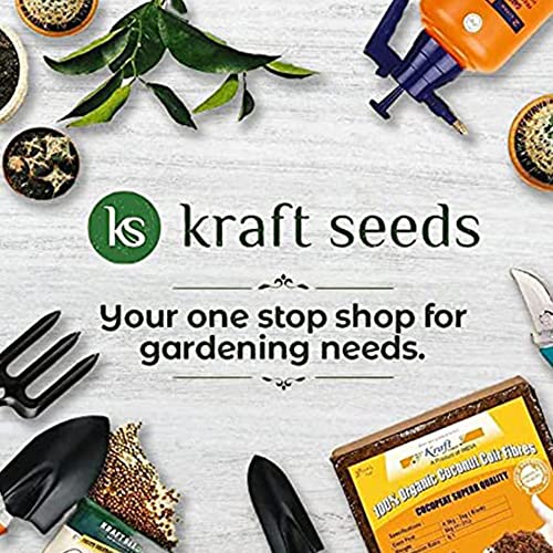 Kraft Seeds असॉर्टेड हैंड प्रूनर कटर - 1 पीस (स्टील ब्लेड) | अत्यधिक टिकाऊ बागवानी कटर टूल | होम गार्डन के लिए प्लांट कटर | वुड ब्रांच ट्रिमर | घास काटने का सामान | मज़बूत स्टेम कैंची