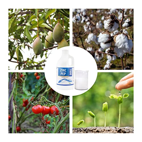 Zinc-Pep 7000 (500ML) | Plant Growth Promoter Liquid Fertilizer | Water Soluble Fertilizer for Plant Growth | Zinc for Plants Growth | Pgr for Plant Growth Regulator | Liquid Plant Fertilizer