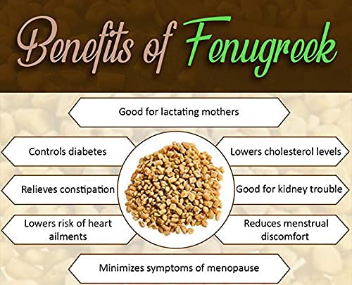 EYWA - Fenugreek Vegetable Seeds - Methi Seeds - Kasuri Methi Seeds - Seeds For Farming - Home Garden Seeds (250 Grams)