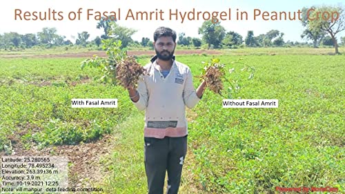 hydrogel benefits in peanut crop
