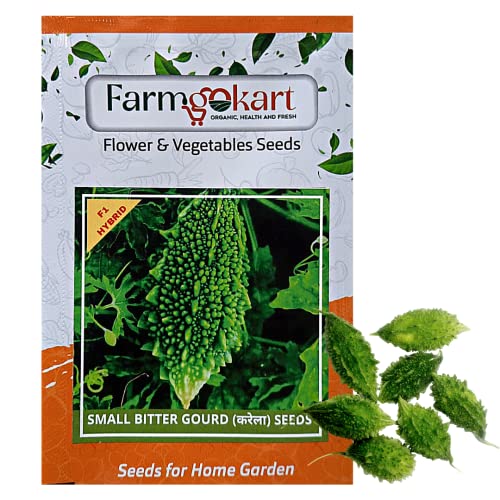 FARMGO 5 Gms - BITTER GOURD SMALL (karela) HYBRID F1 बियाणे घरगुती बागकाम, शेती, हायड्रोपोनिक्स आणि पॉली हाऊससाठी भाजीपाला बियाणे