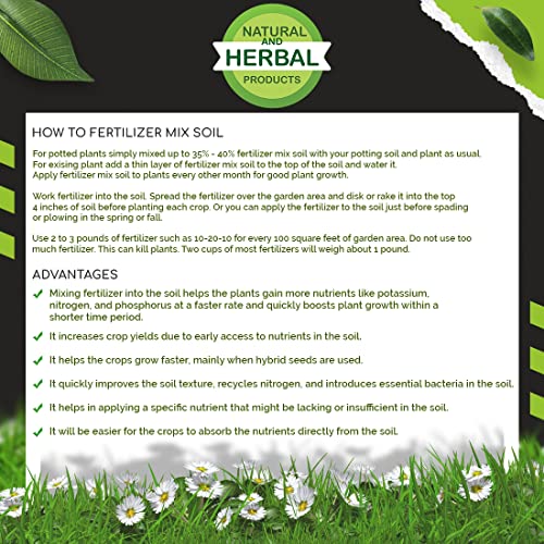 सब्जी के बीज | काला तरबूज | खेती | घर | बगीचा | रसोई | हाइब्रिड | रोपण | छत | बालकनी | खाना | मीठा तरबूज | तरबूज | खरबूजा | खरबूजा - 01 ग्राम : 25 बीज