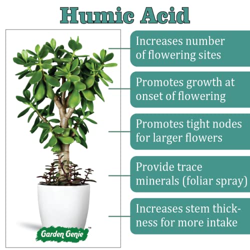 Garden Genie Humic Acid for Plants (Potassium Humate Flakes 98%) | Plant Growth Enhancer, Soil Conditioner, Improves Plant Root System, 900 gm
