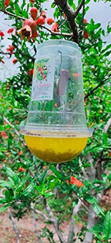 रेव्ह ॲग्रो फ्रूट फ्लाय ट्रॅपर (10 नगांचा पॅक)