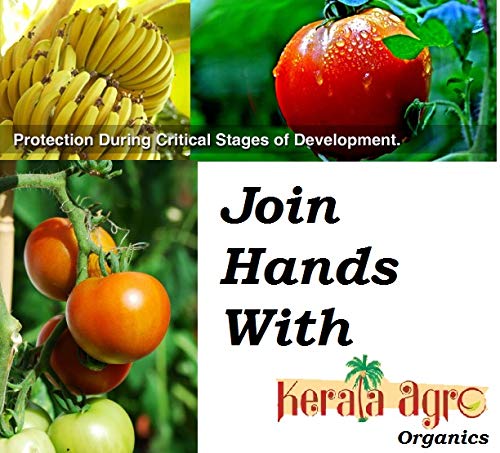 Organic Trichoderma viride -400gms + Pseudomonas fluorescens 400gms Combo Offer - Kerala Agro Organics