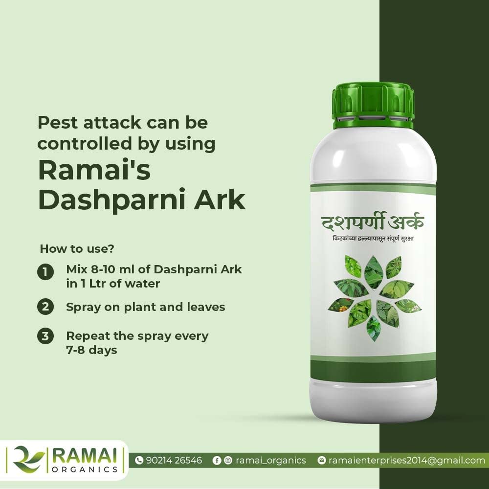 Ramai Dashparni Arka-Protection from pests attack