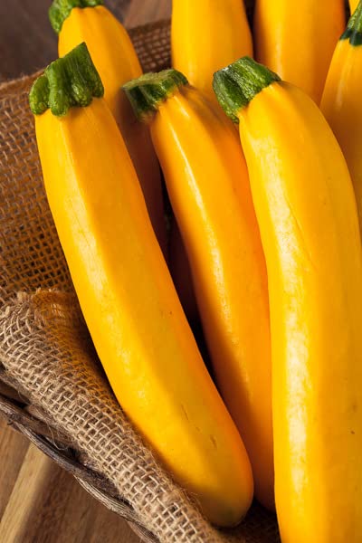 Radha Krishna Agriculture® Zucchini Vegetable Seeds | Yellow Zucchini Seed For Your Home Garden Pack of 30 Gram Seeds