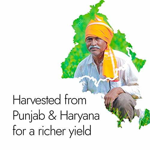 कपिवा गोक्षुरा कैप्सूल | ऊर्जा, प्रदर्शन, सहनशक्ति और मांसपेशियों के विकास के लिए प्राकृतिक स्रोत | पुरुषों का कल्याण | ट्रिबुलस | 60 कैप्स, 500 मिलीग्राम प्रत्येक