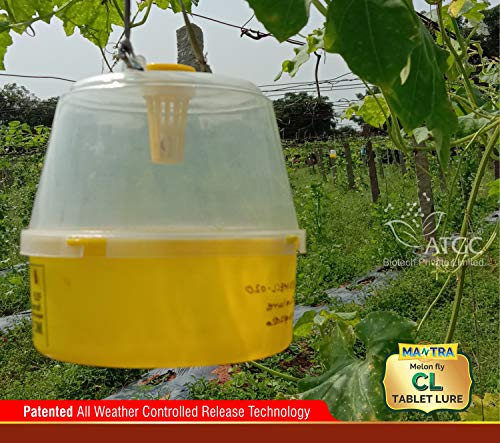 MANTRA CL Melon Fly Tablet Lure (10)