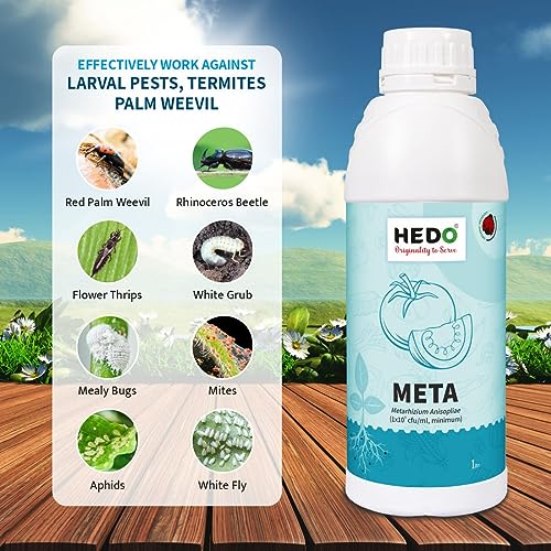 HEDO मेटारिज़ियम एनिसोप्लिए लिक्विड (1X10^8CFU/g) बायो-ऑर्गेनिक 1L पौधों के लिए गैंडा बीटल, लाल ताड़ के घुन, एफिड्स और थ्रिप्स को नियंत्रित करने के लिए