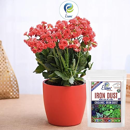 Erwon® Organic Iron Dust for All Plants, Magnetic Iron Oxide Powder for Overall Growth of Plants (400 gm)