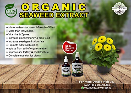 Plants & Roots Seaweed Extract Liquid/Seaweed Fertilizer/Seaweed Organic Fertilizer for All Indoor and Outdoor Plants -with Easy squezze Bottle (100 ml)