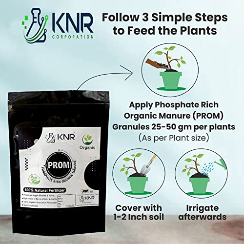 KNR Phosphate Rich Organic Manure (PROM) - 900 Gm Pack | Oranic Fertilizer for Plant and Gardening - 900 Gm