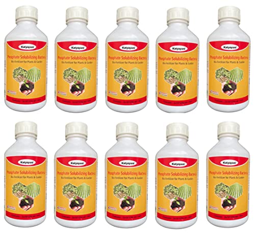 Katyayani phosphorus Solubilizing Fertilizer ( 5 x 10*8 CFU ml/min ) for all Plants and Home Garden phosphorus Provider Eco Friendly Liquid fixing Bacteria Recommended by NPOP for Organic Farming - 10 X 1 Litre Pack