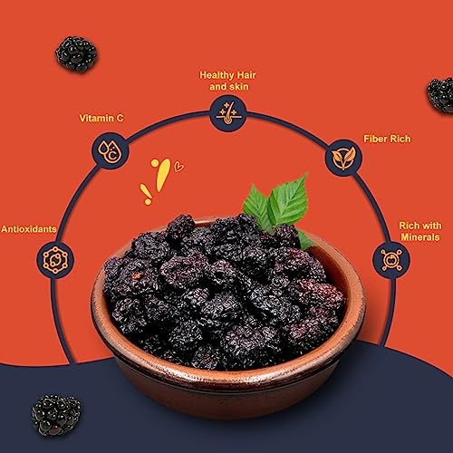 Khari Foods Seedless Dried Blackberries, Healthy Snacks, Fiber Rich, Highly Nutritional, No Added Sugar (100g)