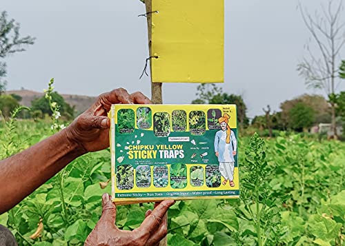 Chipku Yellow Sticky Trap/Insect Trap/Glue Trap/for Whiteflies Thrips,for Garden & Farm(Pack of 25x2 nos - 50Traps)